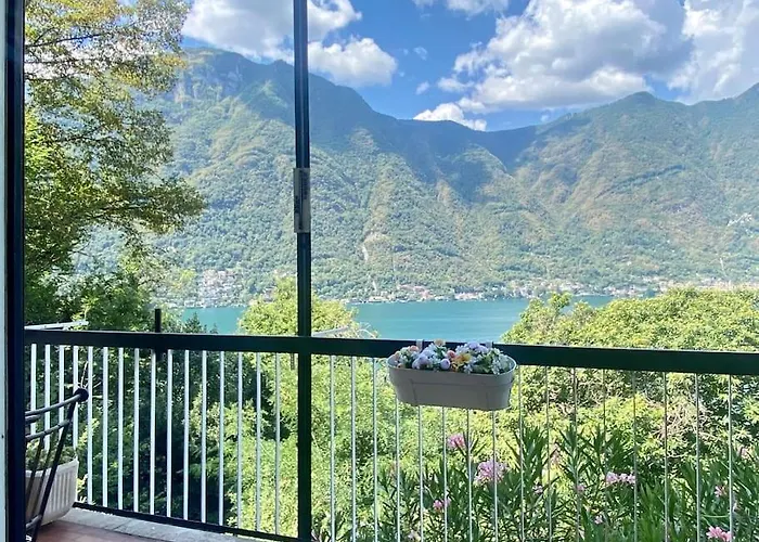 House - View & Solarium